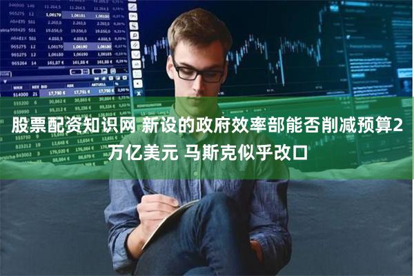 股票配资知识网 新设的政府效率部能否削减预算2万亿美元 马斯